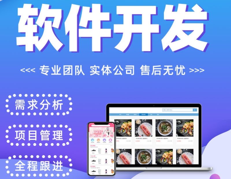 小程序开发:轻量化应用的未来趋势